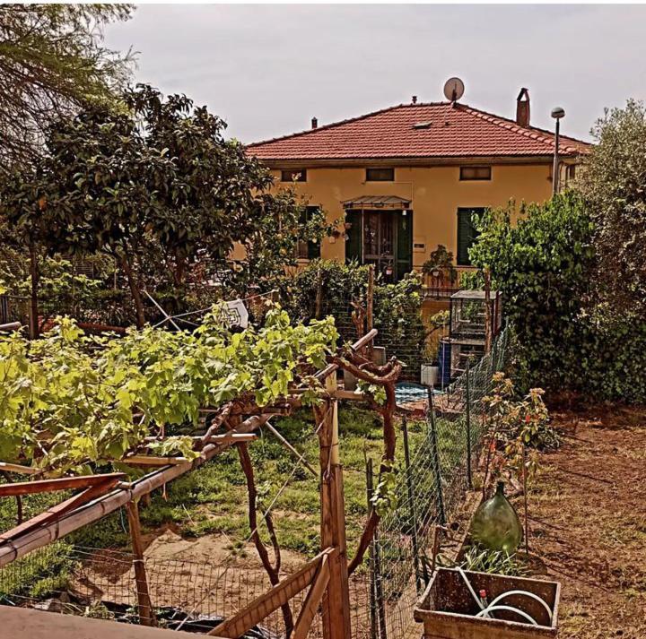 Casa Vacanze Toscana,Lago Di Massaciuccoli Ngoại thất bức ảnh