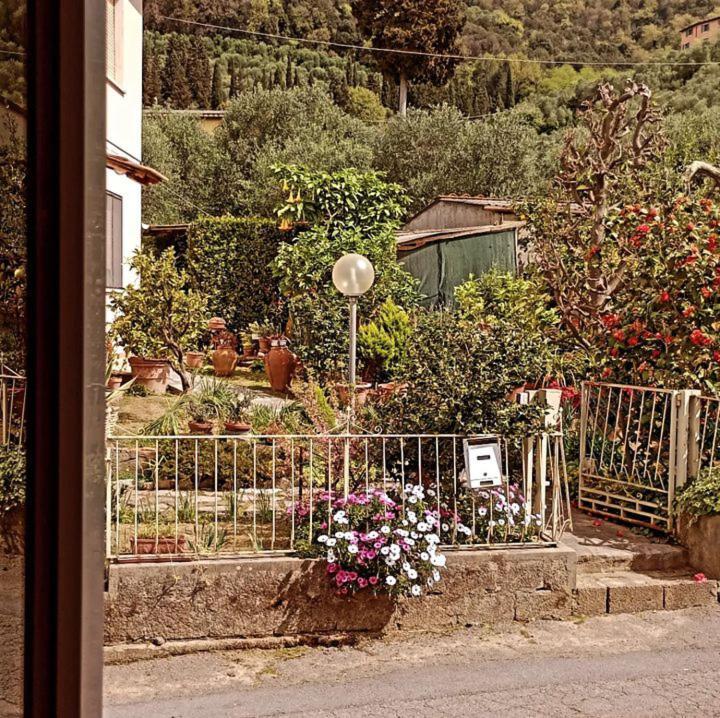 Casa Vacanze Toscana,Lago Di Massaciuccoli Ngoại thất bức ảnh
