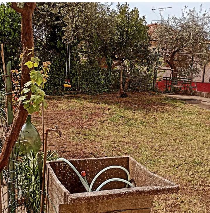 Casa Vacanze Toscana,Lago Di Massaciuccoli Ngoại thất bức ảnh