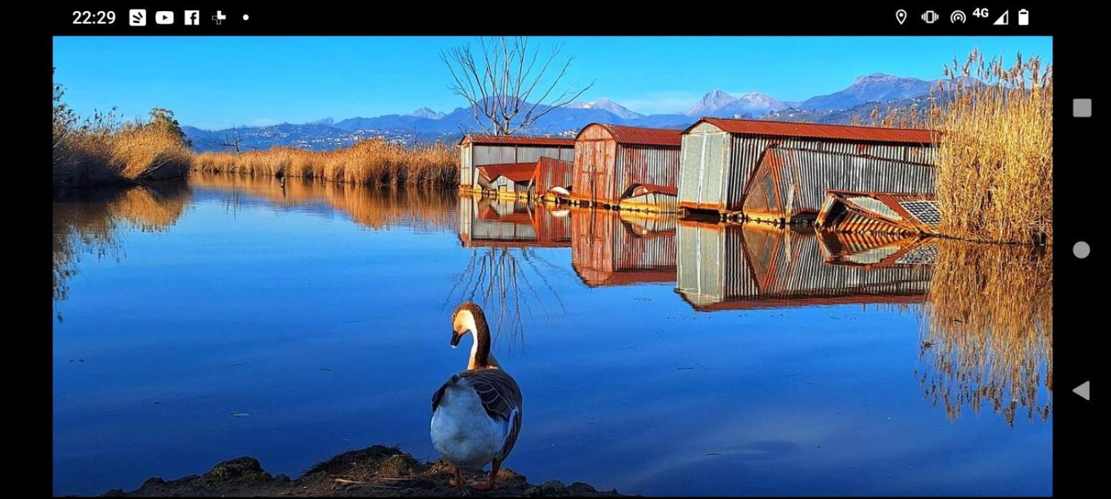 Casa Vacanze Toscana,Lago Di Massaciuccoli Ngoại thất bức ảnh